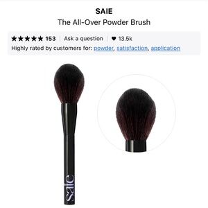 NWT Saie All-Over Powder Brush